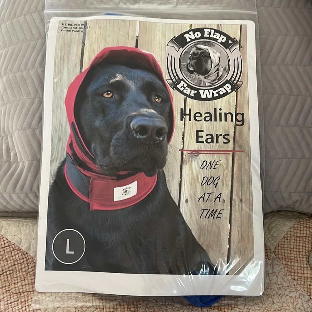 No Flap Ear Wrap Pinpoint Mesh blue for dog